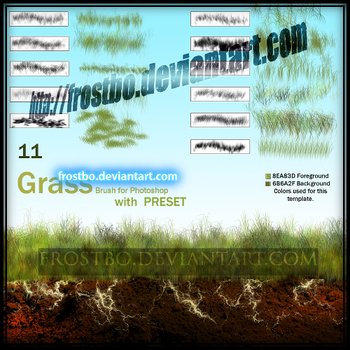 grass