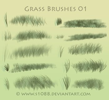 grass