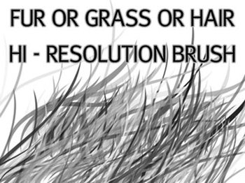 grass
