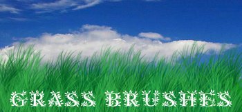 grass