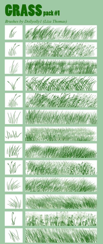 grass