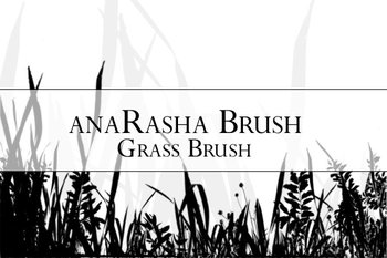 grass