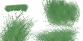 grass