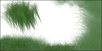 grass