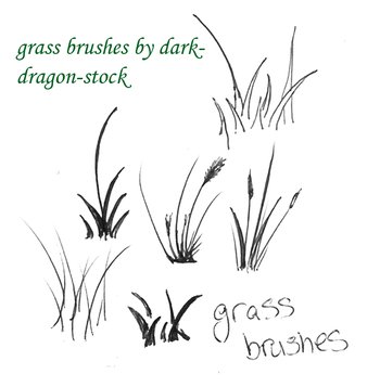 grass