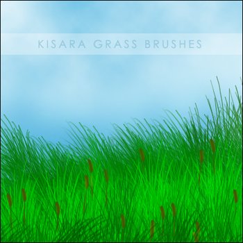 grass
