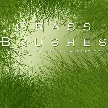 grass