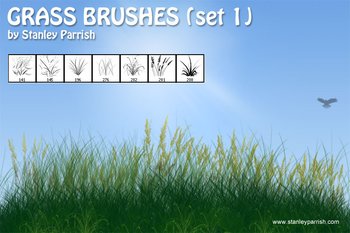 grass