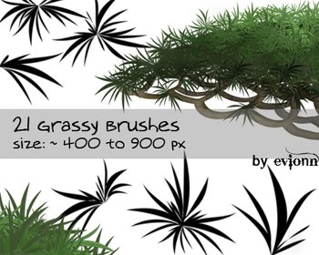 grass