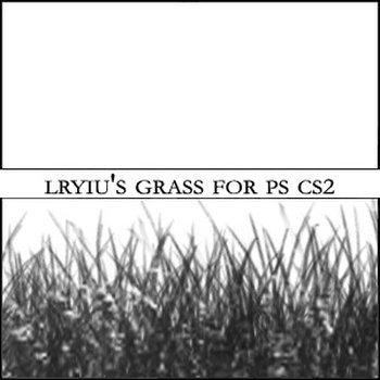 grass