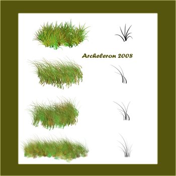 grass