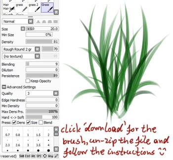 grass