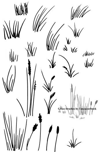 grass and moss