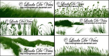 Grasslands