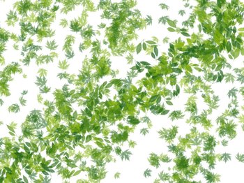green leaves