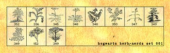 Herb plants