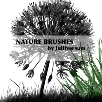 High Res Nature