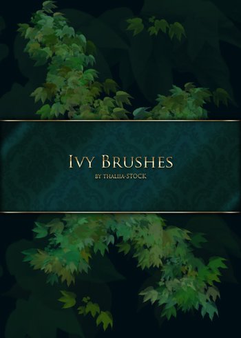 ivy