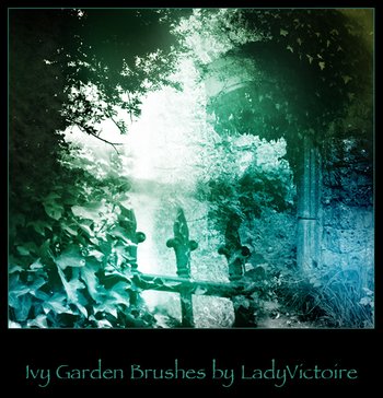 Ivy Garden