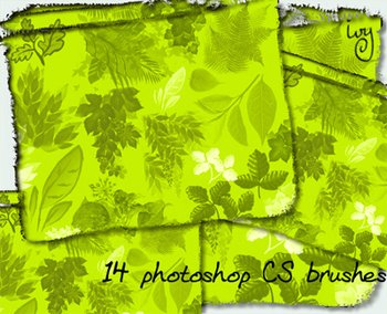 ivy leaves