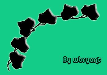 Ivy Vine