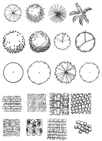 landscape plants