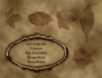 Leaf