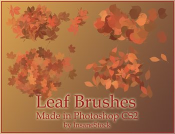 Leaf