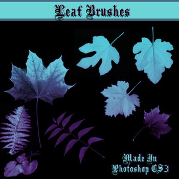 Leaf