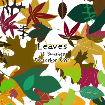 Leaf