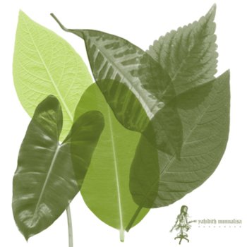 Leaf