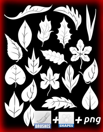 Leaf