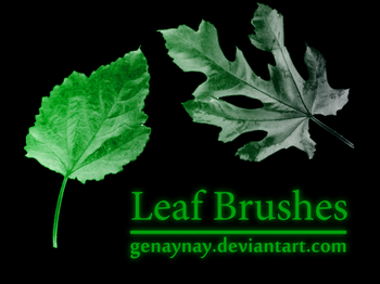 Leaf