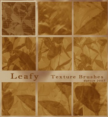 Leaf