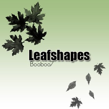 Leaf Shapes