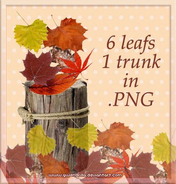 Leafs and trunk