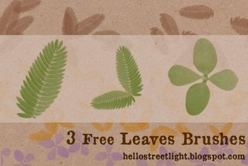 leaves