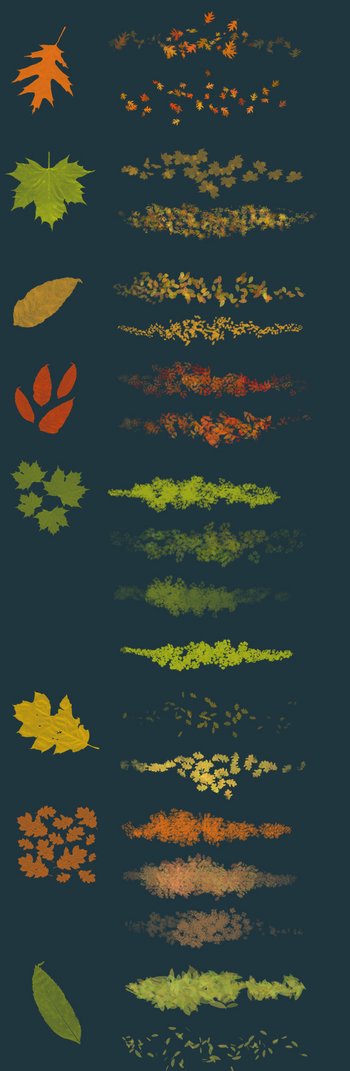 leaves
