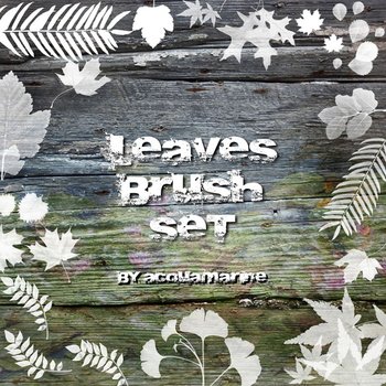 leaves