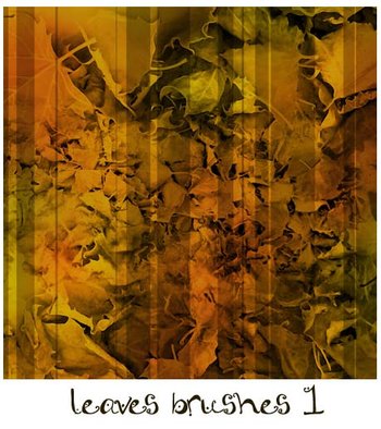 leaves