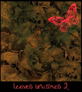 leaves