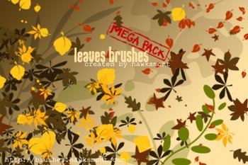 leaves