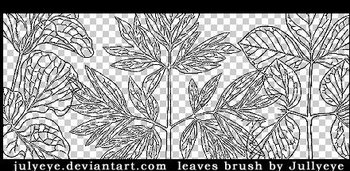 leaves