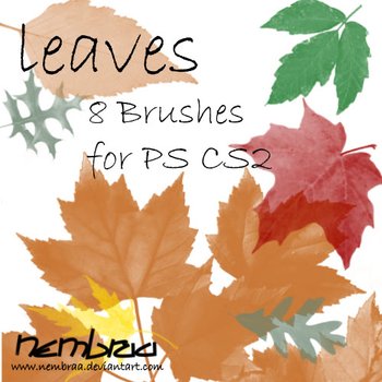 leaves