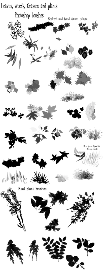 Leaves and grass