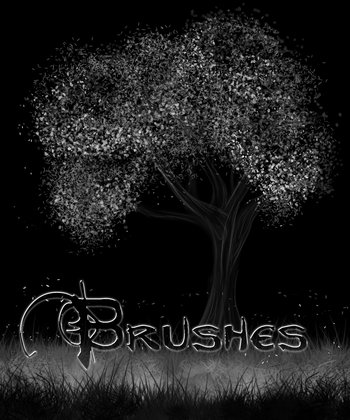 leaves – grass