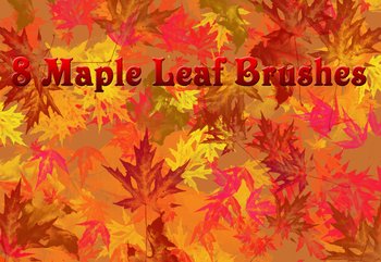 Maple Leaf