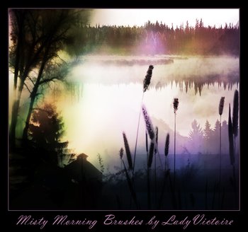 Misty Morning