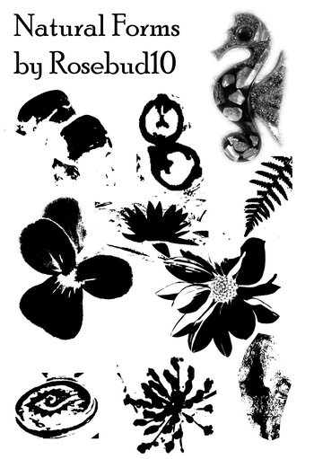 Natural Forms