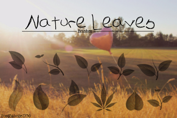 Natural Leaves